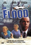 Enchente: Quem Salvará Nossos Filhos? (The Flood: Who Will Save Our Children?)