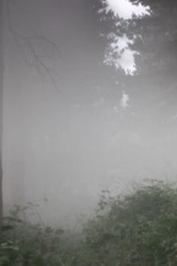 Poster de Episódio The Enemy Within (2011)