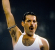 Retratos de uma Vida - Freddie Mercury