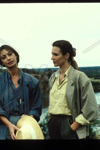 Poster de Filme Safari  (1991)