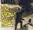 The Snow Hawk