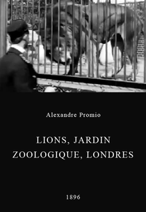 Lions, Jardin zoologique, Londres (Lions, Jardin zoologique, Londres)