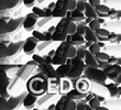 Cedo