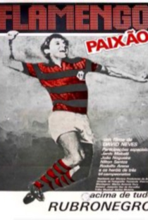 Flamengo Paixão - Poster / Capa / Cartaz - Oficial 1