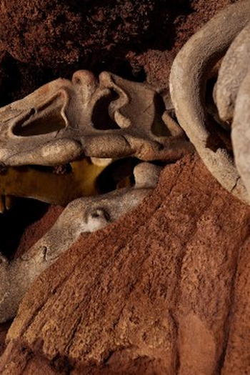 Poster de Episódio Big Thunder Mountain Railroad (2023)