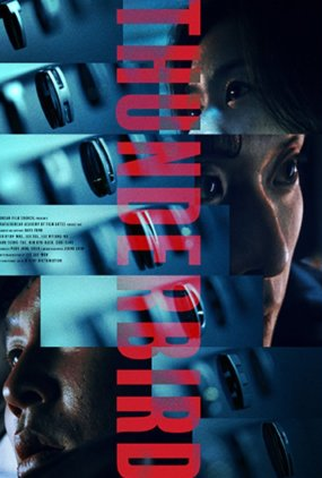 Poster 2 de Filme Thunderbird (2022)