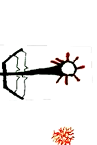 Poster 1 de Curta Abstract Motion (2007)