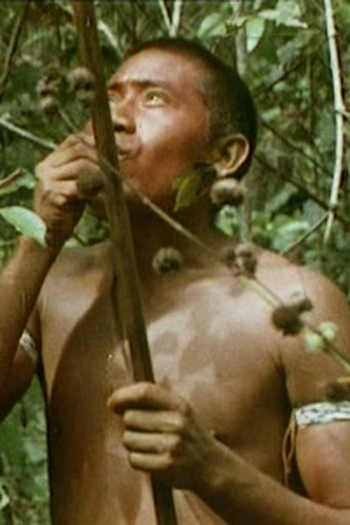 Poster de Episódio A Clearing in the Jungle (1970)