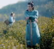 第9集