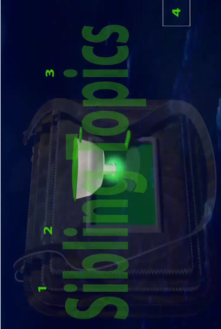 Poster 1 de Filme Sibling Topics (Section A) (2009)