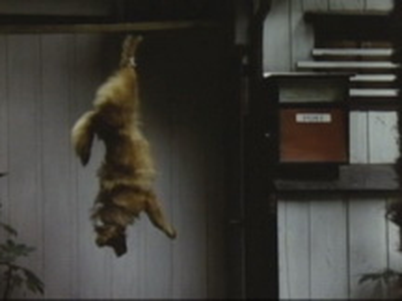 Foto 15 de The Nineteen Year-Old's Map