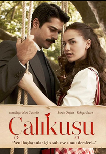 Çalıkuşu (Çalıkuşu)