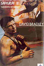 American Samurai 2: Guerreiros de Sangue (Blood Warriors)