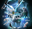 Super Natural
