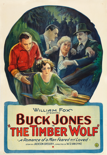 O Lobo dos Montes (The Timber Wolf)