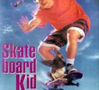 Skate Voador