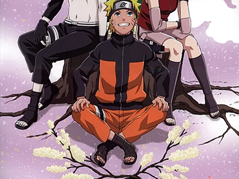 Foto 3 de Naruto Shippuden (5ª Temporada)