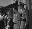 The Manhunt