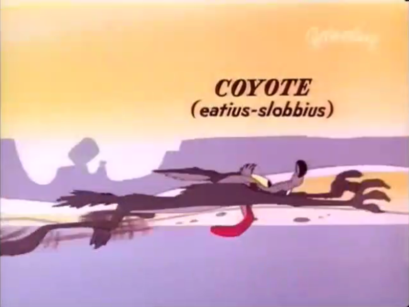 Foto 7 de Hip Hip-Hurry!