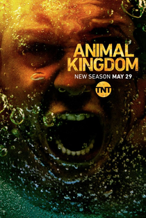 Animal Kingdom (3ª Temporada) - Poster / Capa / Cartaz - Oficial 1