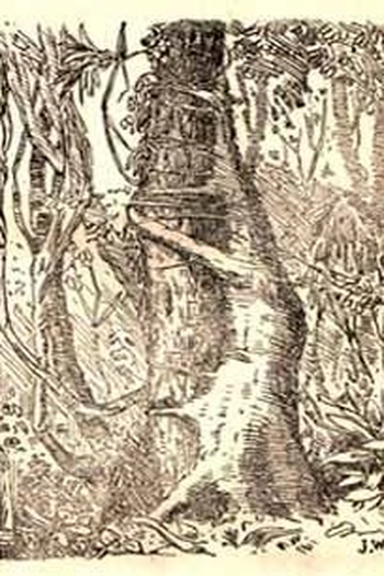 Poster de Filme Os Faroleiros (1920)