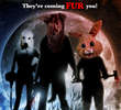 Furry Nights