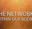Our Remarkable Inner Network