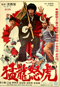 Bruce and the Dragon Fist (Maenglyongnoho)