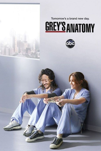 A Anatomia de Grey (8ª Temporada) - Poster / Capa / Cartaz - Oficial 2