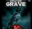 Echoes from the Grave