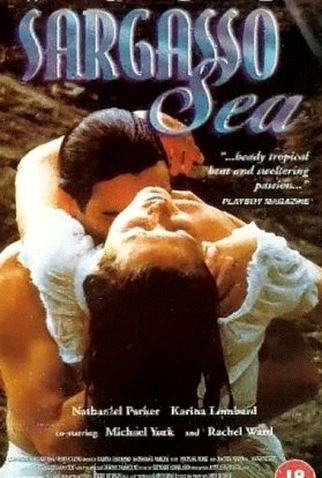 Poster 4 de Filme Vasto Mar de Sargaços (1993)