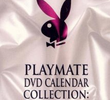 Playboy - Calendário Playmates 1993
