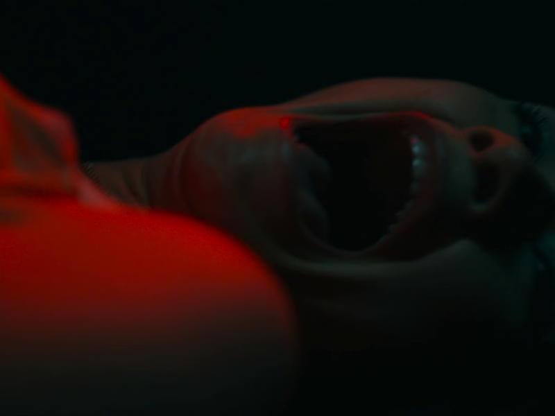 Foto 12 de Natty Knocks