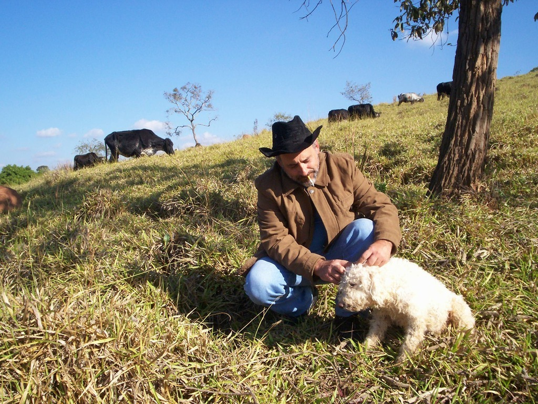 Nísio Fernandes - Foto 2