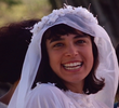  Festa de casamento