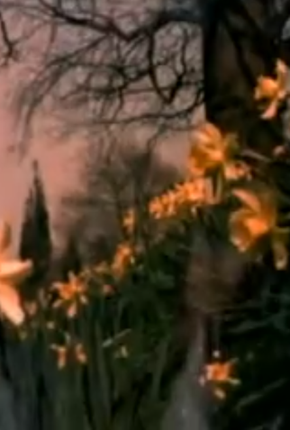 Poster 1 de Filme Fora do Baralho (1972)