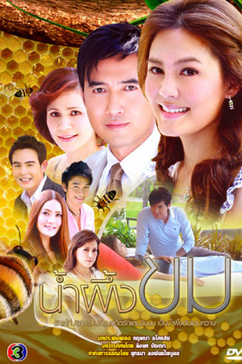 Poster de Série Nam Pueng Kom (2009)