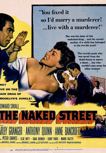 O Salário do Pecado (The Naked Street)