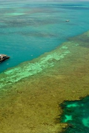 Poster de Episódio Great Barrier Reef (2022)