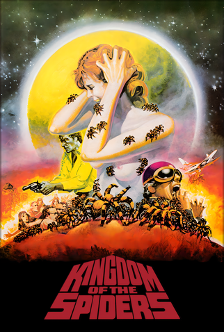 Poster 10 de Filme O Império das Aranhas (1977)