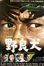 Stray Dog (野良犬)