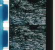 Mer