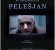O Silêncio De Pelesjan