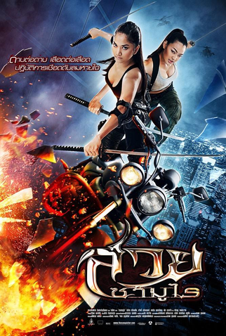 Poster 2 de Filme The Vanquisher (2009)