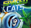 Spaced Cats