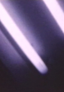Celluloid Memory (セルロイドの記憶)