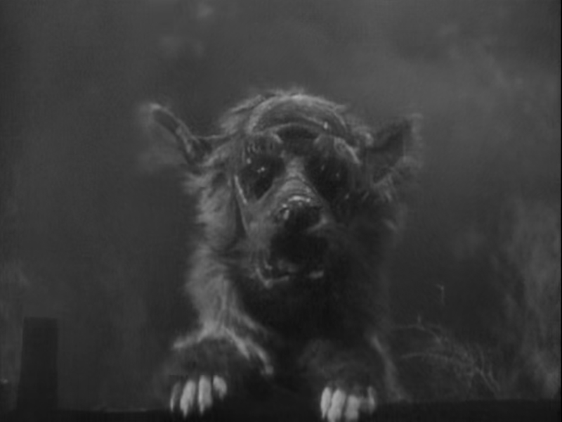 Foto 1 de O Cão dos Baskervilles