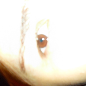 Foto de perfil de Marcela