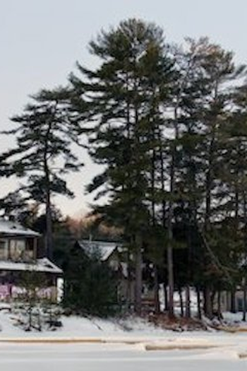 Poster de Episódio Muskoka (2020)