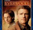 Everwood: Uma Segunda Chance (1ª Temporada)